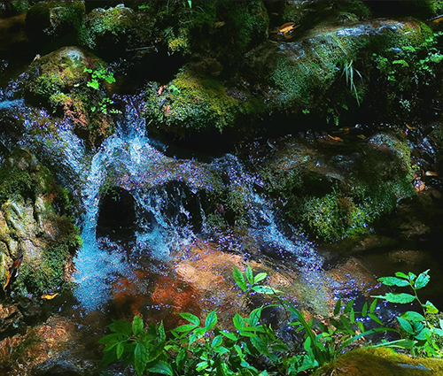 威客电竞·(中国)VKGAME